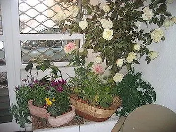 Residence Meublee Services マルセイユ アパートホテル