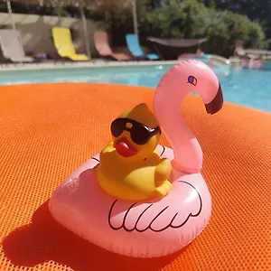 https://ile-des-plaisirs-love-rooms-du-tarn-libertins-swingers-friendly.midi-pyreneeshotels.com